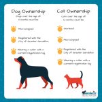 Pet ownership: what you can and can’t do